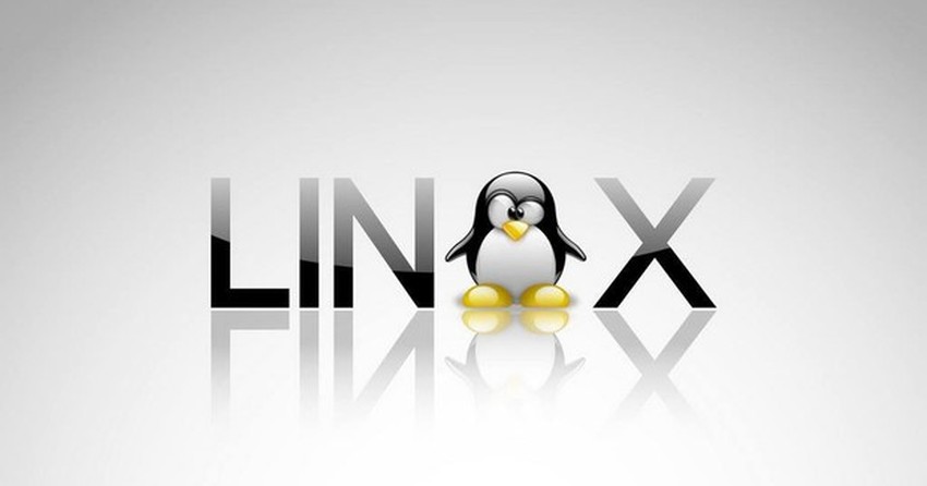 Meus Primeiros Contatos com o Linux